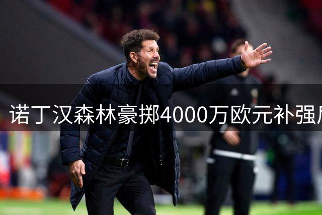诺丁汉森林豪掷4000万欧元补强后防，迪奥曼德能否扛起防线大旗？